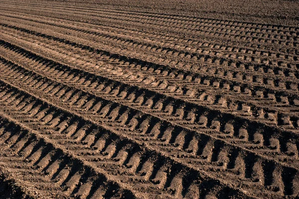 Tracce Sul Terreno Arato Del Terreno Agricolo Durante Preparazione Del — Foto Stock