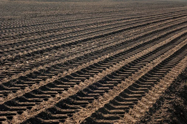 Trazas Tierra Arada Del Campo Agrícola Durante Preparación Tierra Para — Foto de Stock