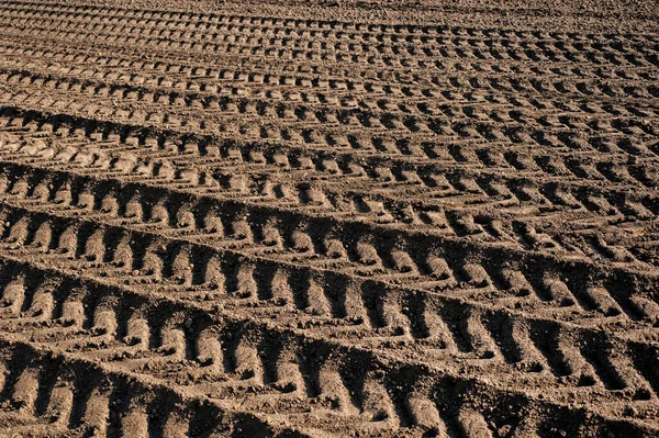 Vestígios Terra Arada Campo Agrícola Durante Preparação Terra Para Sementeira — Fotografia de Stock