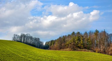 İlkbaharda çam ormanı yakınlarındaki tepelik arazide buğday tarlaları bulutlu gökyüzü