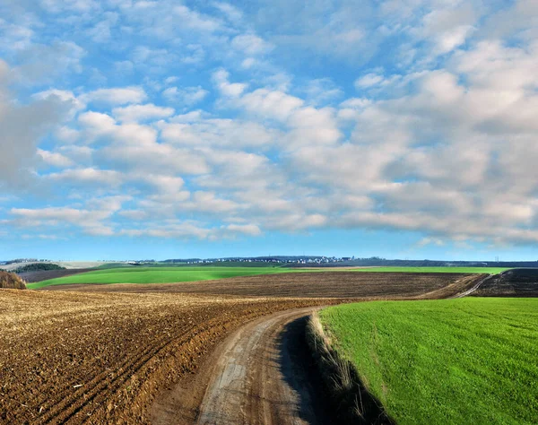 Camino Tierra Entre Campo Arado Campo Trigo Invierno Terreno Montañoso — Foto de Stock