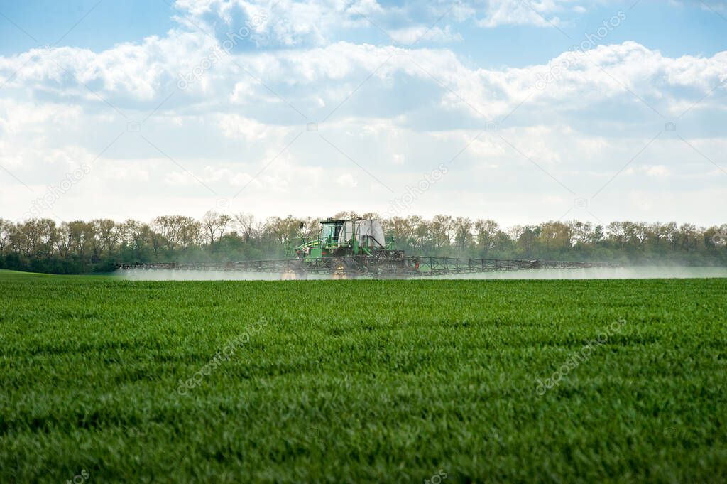 sprayer with fertilizers on green wheat field at spring, rear view