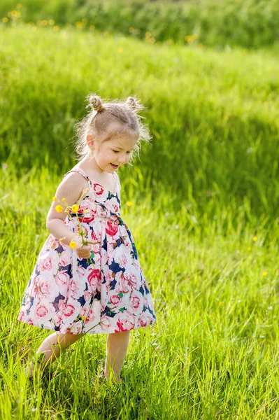 Mała Dziewczynka Letniej Sukience Warkoczami Zielonym Polu Trawy — Zdjęcie stockowe