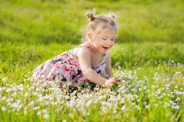 Uma Menina Vestido Verão Com Porquinhos Campo Verde Grama Verão — Fotografia de Stock