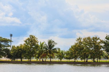 Yeşil ağaç bahçe yakın büyük göl üzerinde