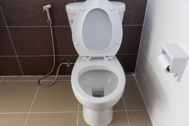 beyaz odada beyaz floş tuvalet