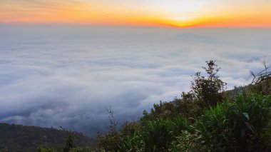 gündoğumu zaman ve sis Dağı'nda Phu-Ruea Milli Parkı, Loei Tayland çevresinde