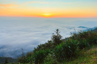 gündoğumu zaman ve sis Dağı'nda Phu-Ruea Milli Parkı, Loei Tayland çevresinde