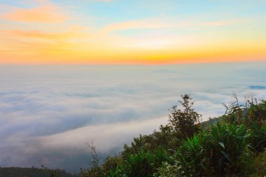 gündoğumu zaman ve sis Dağı'nda Phu-Ruea Milli Parkı, Loei Tayland çevresinde