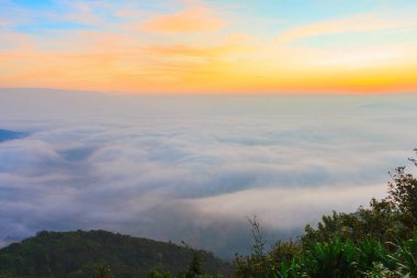 gündoğumu zaman ve sis Dağı'nda Phu-Ruea Milli Parkı, Loei Tayland çevresinde