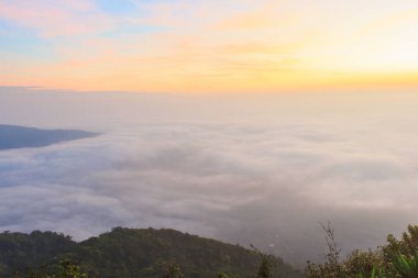 gündoğumu zaman ve sis Dağı'nda Phu-Ruea Milli Parkı, Loei Tayland çevresinde