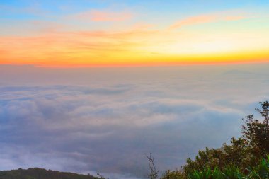 gündoğumu zaman ve sis Dağı'nda Phu-Ruea Milli Parkı, Loei Tayland çevresinde