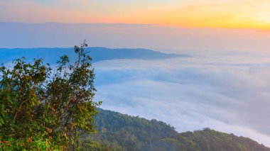 gündoğumu zaman ve sis Dağı'nda Phu-Ruea Milli Parkı, Loei Tayland çevresinde