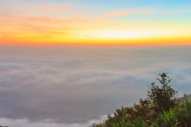 gündoğumu zaman ve sis Dağı'nda Phu-Ruea Milli Parkı, Loei Tayland çevresinde