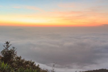 gündoğumu zaman ve sis Dağı'nda Phu-Ruea Milli Parkı, Loei Tayland çevresinde
