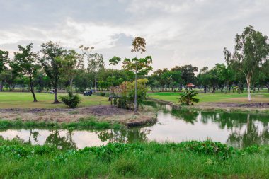 Çimenli golf sahası ve havuzdaki ağaçların yansıması spor yapmak için güzel bir manzara yaratıyor.