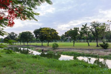 Çimenli golf sahası ve havuzdaki ağaçların yansıması spor yapmak için güzel bir manzara yaratıyor.