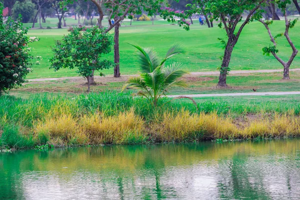 Golfpálya Buja Tükröződés Fák Medencében Teszi Egy Gyönyörű Kilátás Nyílik — Stock Fotó