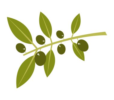 beyaz zemin üzerine zeytin