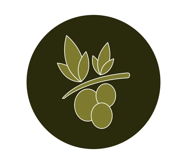Oliven auf weißem Hintergrund — Stockfoto