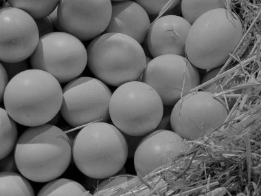 doku yumurta pişirme