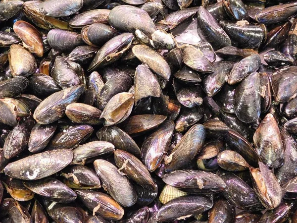 Textura de los mejillones en la cocina —  Fotos de Stock