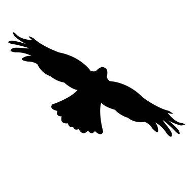 Beyaz bir arka plan üzerinde resimli kartal siluet
