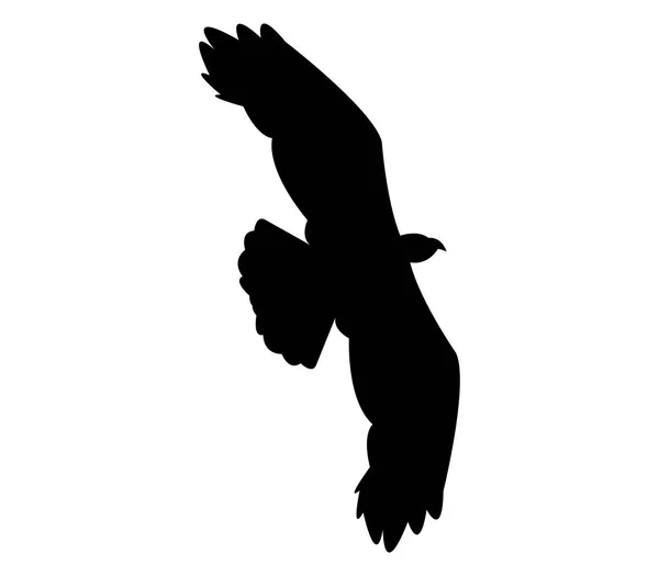 Silhouette aigle illustrée sur fond blanc — Image vectorielle