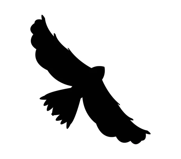 Sylwetka orła ilustrowany na białym tle — Wektor stockowy
