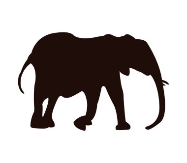 Beyaz bir arka plan üzerinde resimli siluet fil