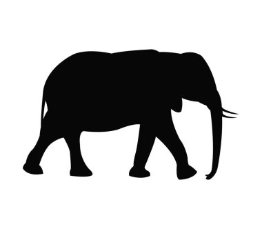 Beyaz bir arka plan üzerinde resimli siluet fil