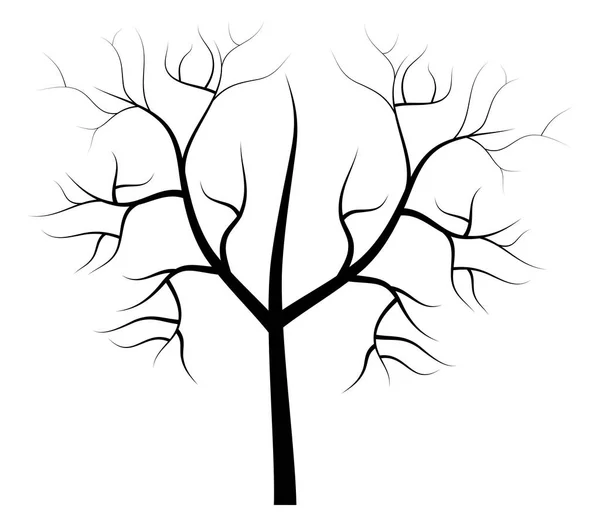 Árbol seco ilustrado sobre un fondo blanco — Vector de stock