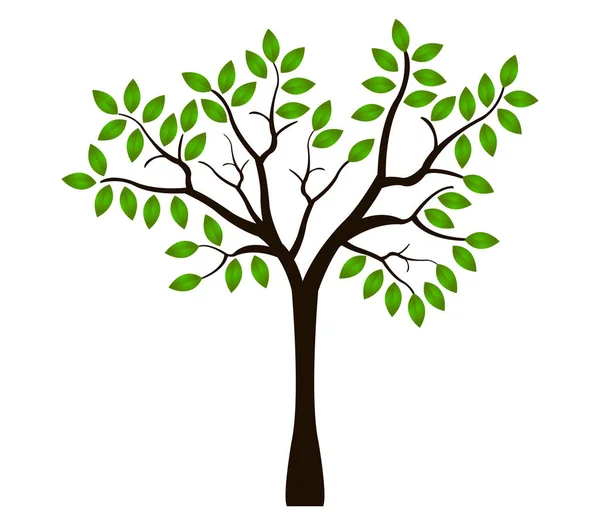 Árvore ilustrada sobre um fundo branco —  Vetores de Stock