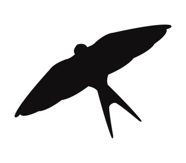 Beyaz bir arka plan üzerinde gösterilen simge yutmak