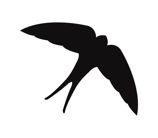 Swallow pictogram geïllustreerd op een witte achtergrond — Stockvector