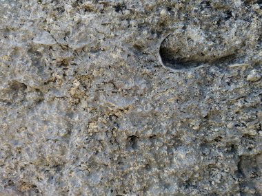 taş açık bahçe dokusuna