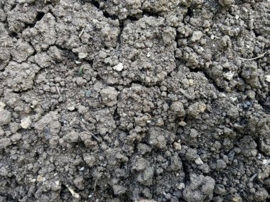 bahçede dışında zemin dokusu