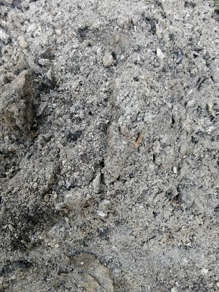 Texture of open coal in the garden — Stock Photo, Image