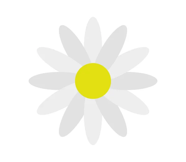 Stokrotka kwiat ikona ilustrowane — Wektor stockowy