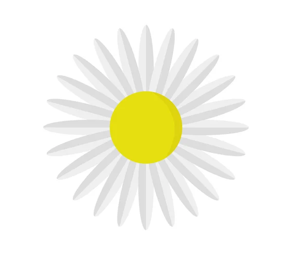 Ikon virág daisy illusztrált — Stock Vector