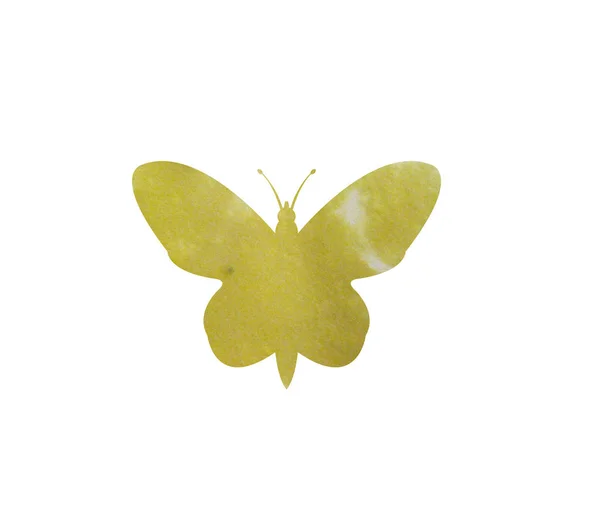 Aquarelle papillon sur fond blanc — Image vectorielle