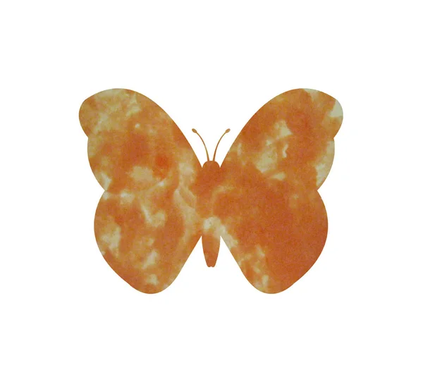 Aquarelle papillon sur fond blanc — Image vectorielle