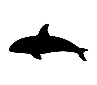 Beyaz arka plan üzerinde resimli orca