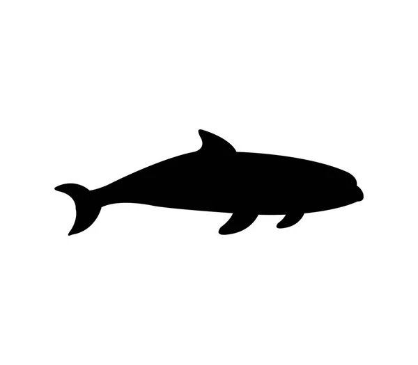 Orca ilustrada sobre fondo blanco — Vector de stock