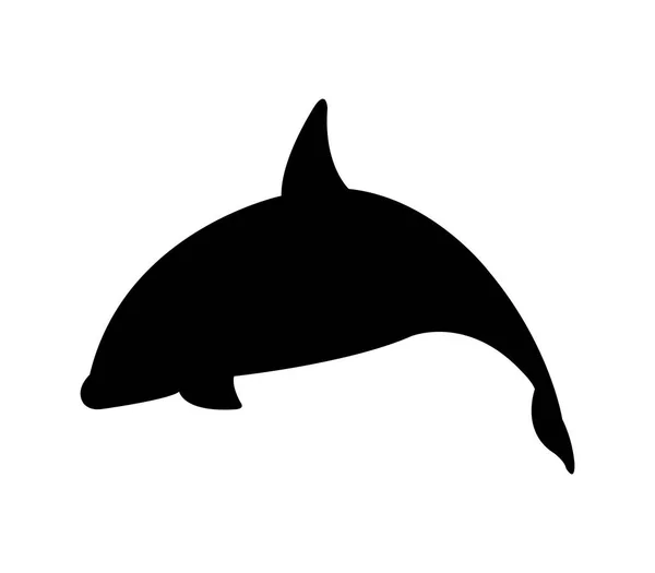 Orca ilustrada sobre fondo blanco — Vector de stock