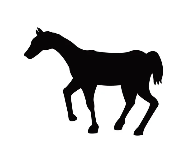 Icône cheval illustré sur fond blanc — Image vectorielle