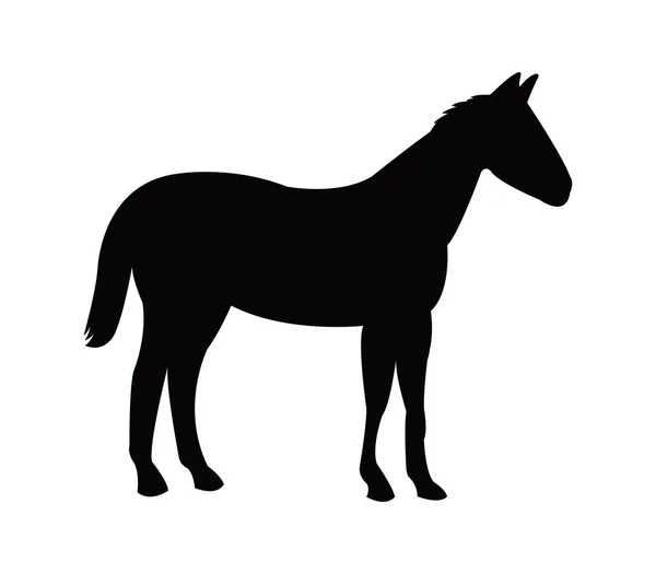 Icono caballo ilustrado sobre fondo blanco — Archivo Imágenes Vectoriales