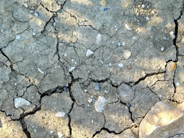 庭で乾燥した土地のテクスチャ — ストック写真