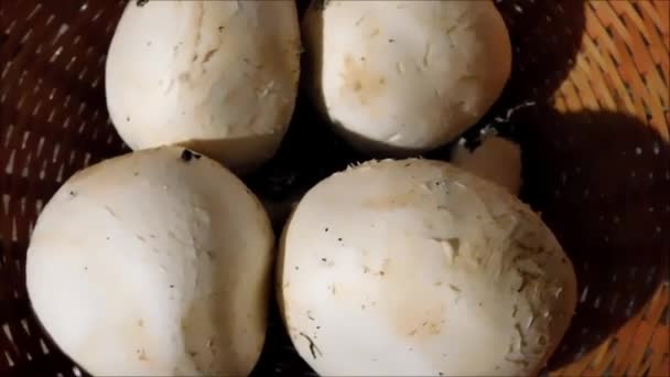 在厨房里吃点蘑菇 — 图库视频影像