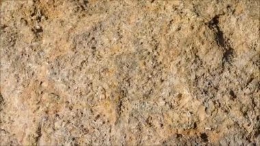 Taş dokusu bahçede